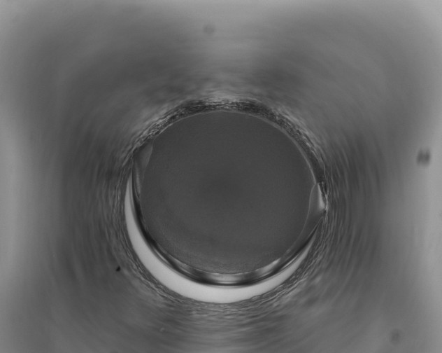 X0000094351348200711091442