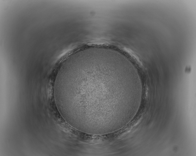 X0000094351350200711091442