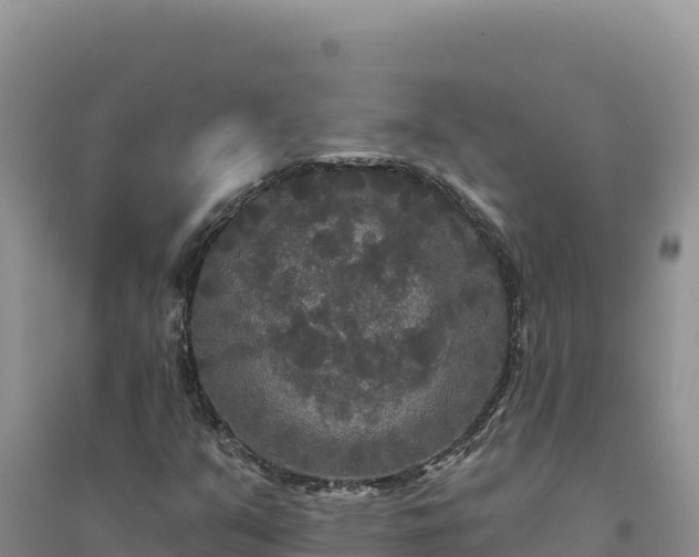 X0000094351351200711091442