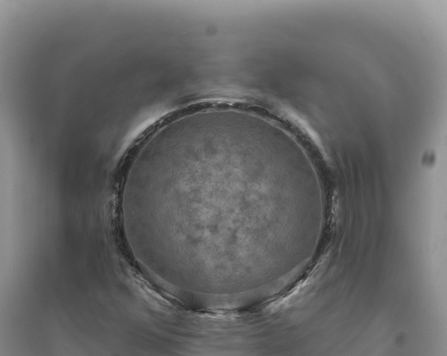 X0000094351352200711091442