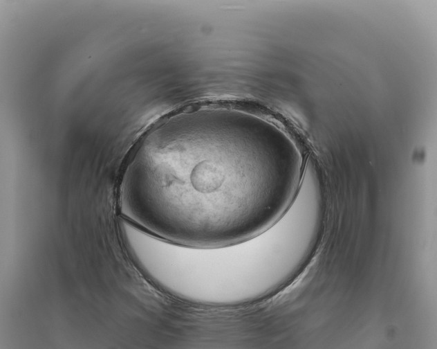 X0000094351353200711091442