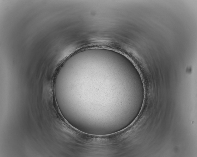 X0000094351354200711091442