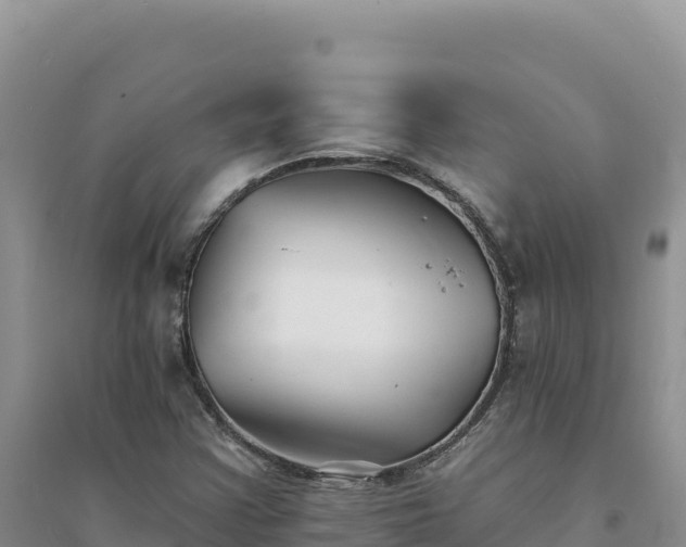 X0000094351355200711091442