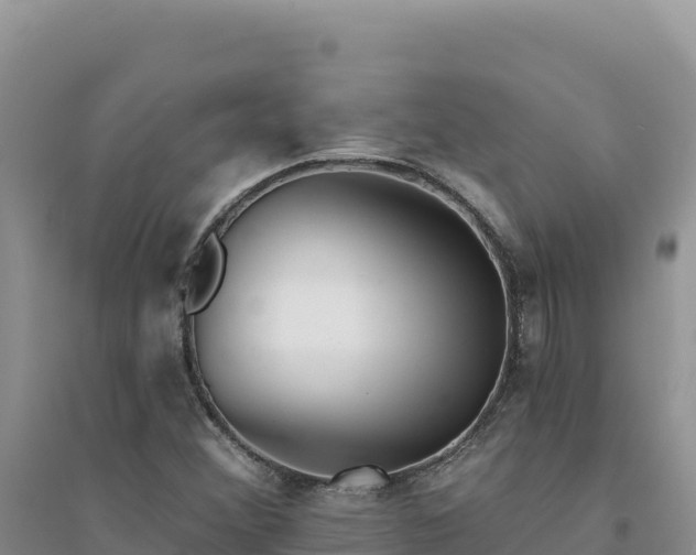 X0000094351356200711091442