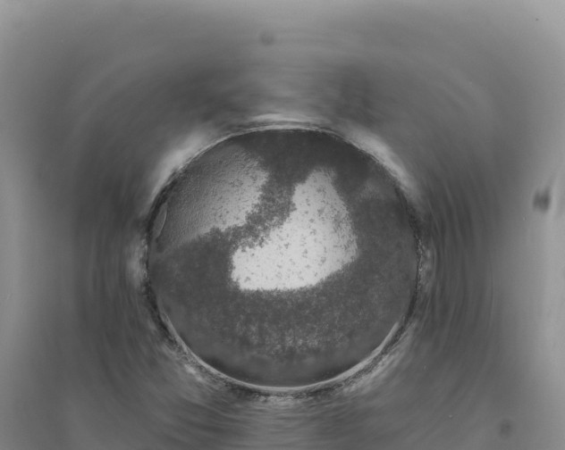 X0000094351357200711091442