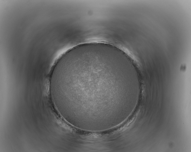 X0000094351358200711091442