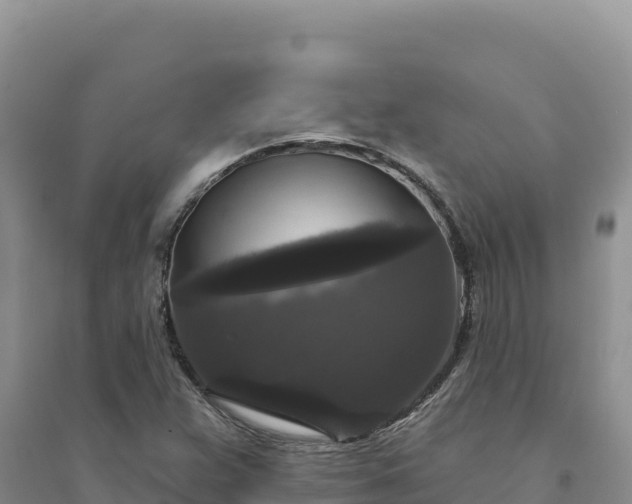 X0000094351359200711091442