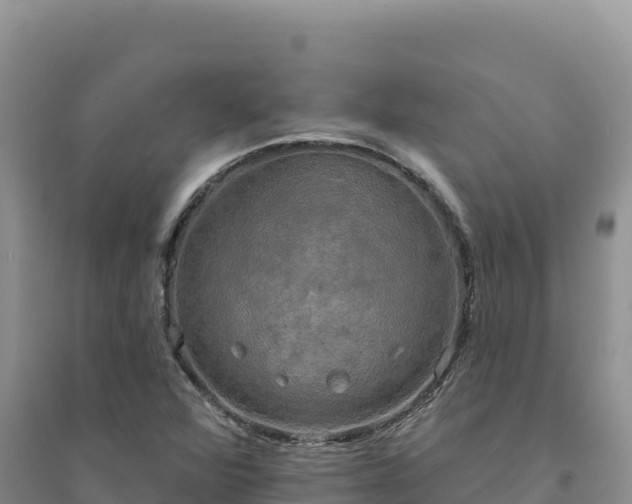 X0000094351360200711091442