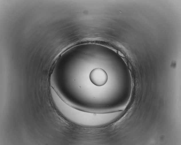 X0000094351361200711091442