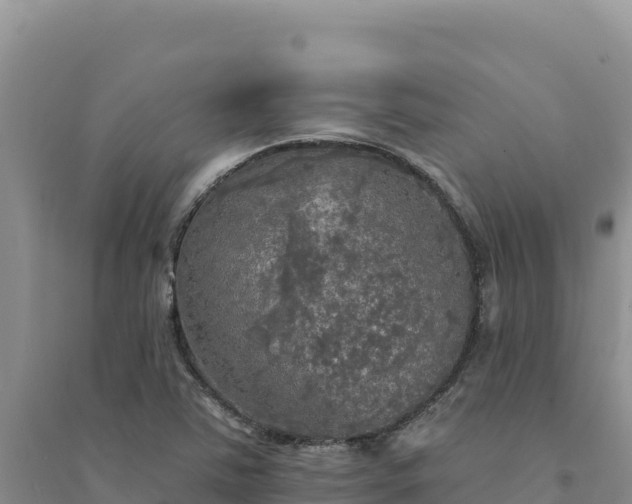 X0000094351363200711091442