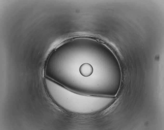 X0000094351365200711091442