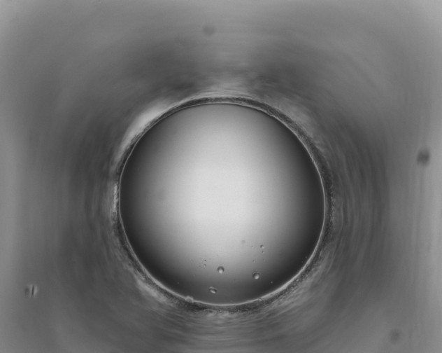 X0000094351366200711091442