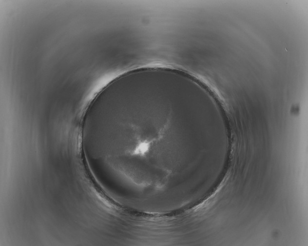 X0000094351367200711091442