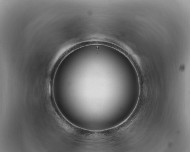 X0000094351368200711091442