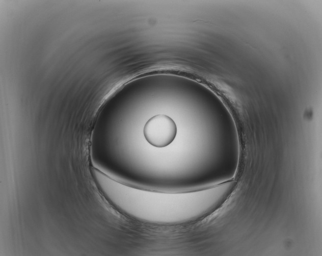 X0000094351369200711091442