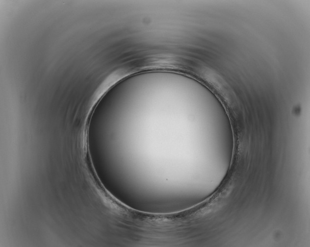 X0000094351370200711091442