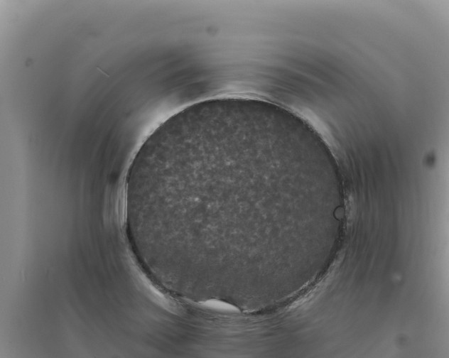 X0000094351371200711091442