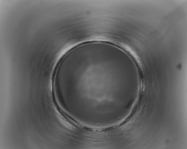 X0000094351372200711091442