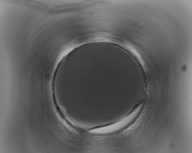 X0000094351373200711091442