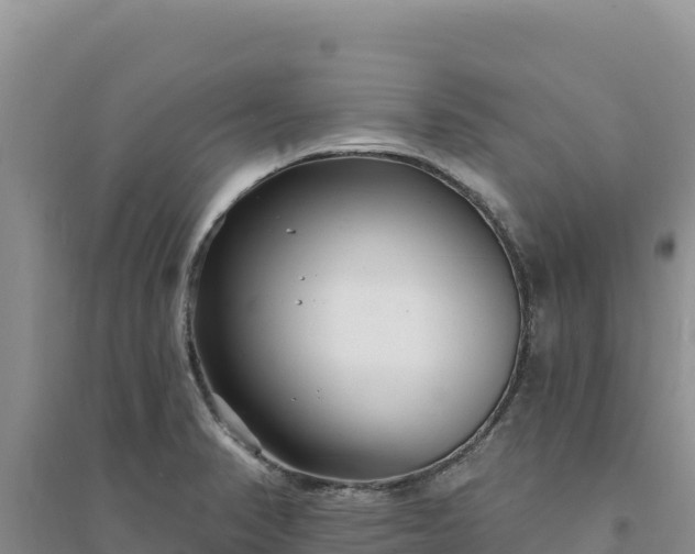 X0000094351374200711091442