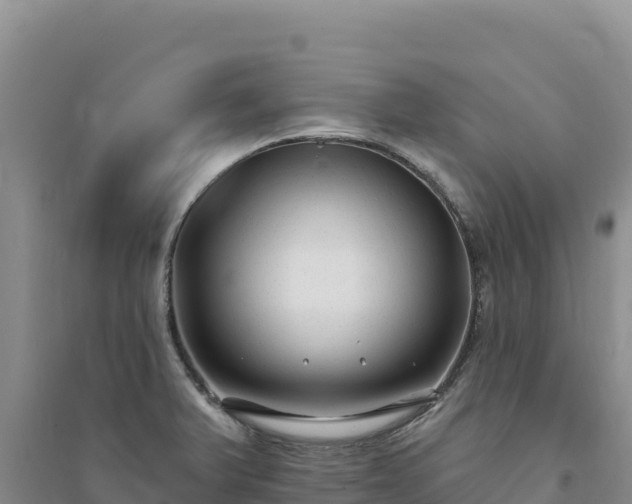 X0000094351375200711091442