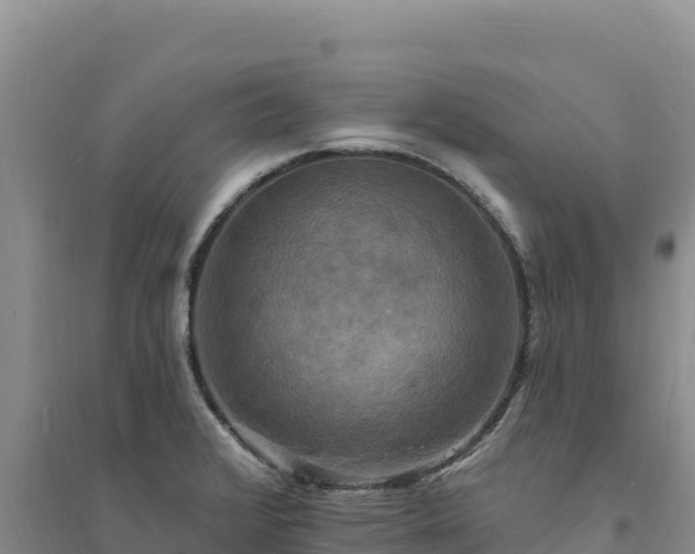 X0000094351376200711091442