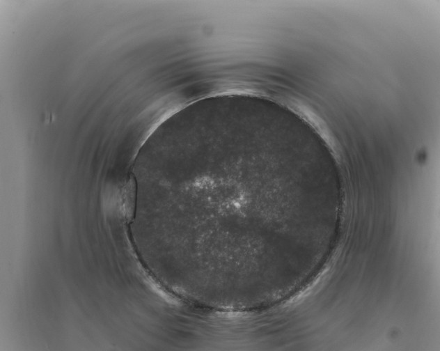 X0000094351377200711091442