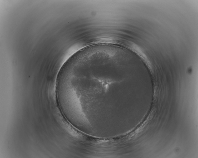 X0000094351378200711091442