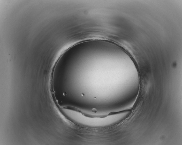 X0000094351379200711091442