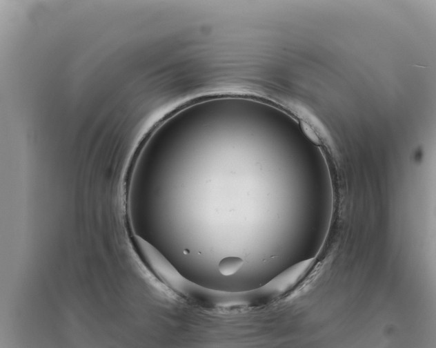 X0000094351380200711091442