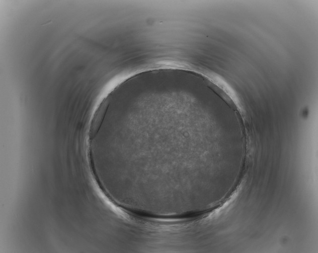 X0000094351381200711091442