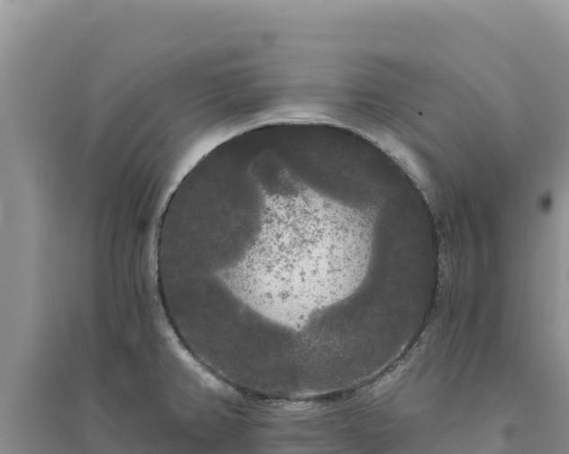 X0000094351382200711091442