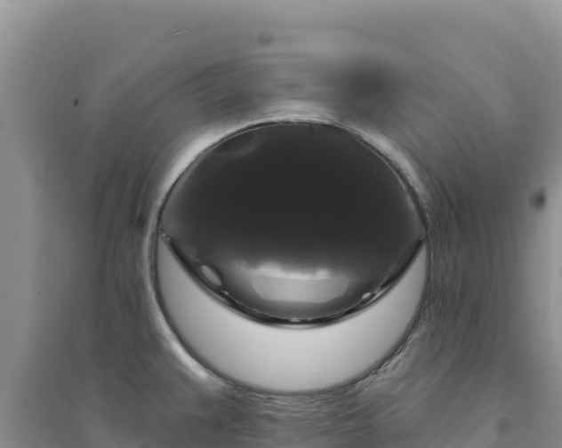 X0000094351383200711091442