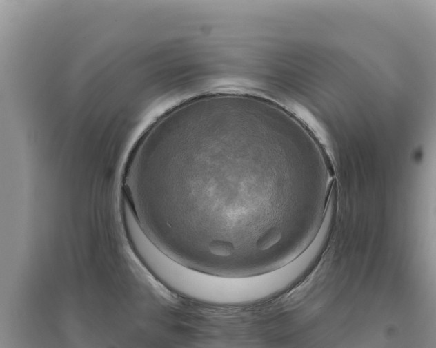 X0000094351384200711091442