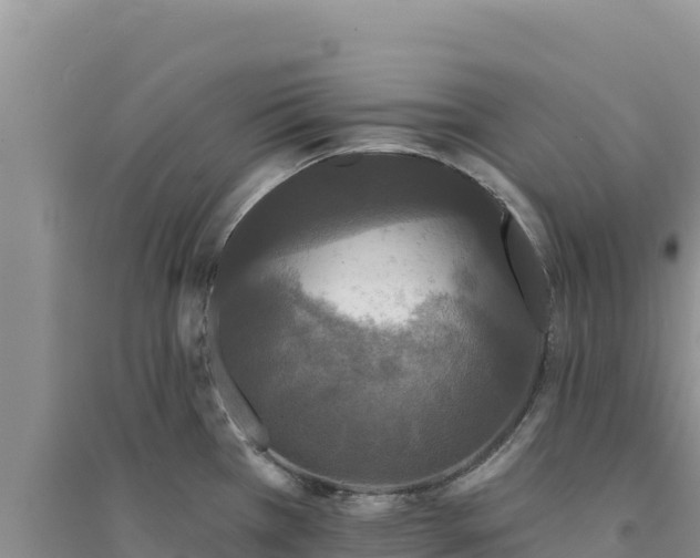 X0000094351385200711091442