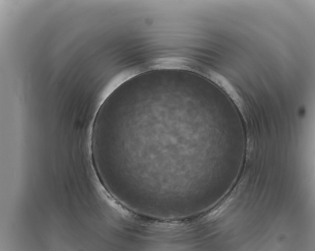 X0000094351386200711091442