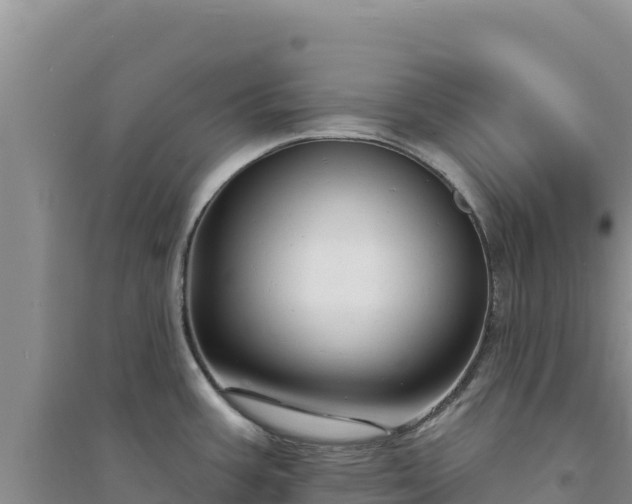 X0000094351387200711091442