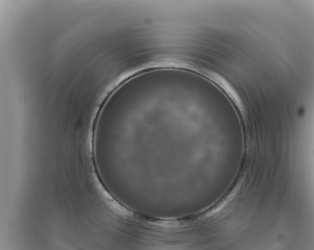 X0000094351388200711091442