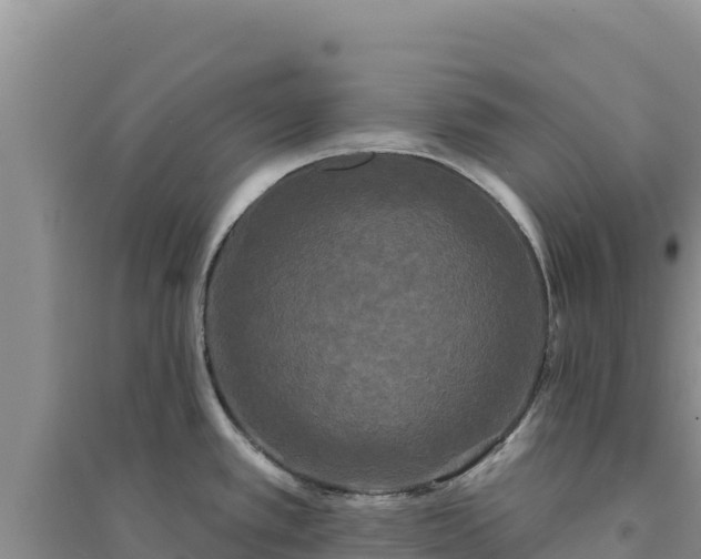 X0000094351389200711091442