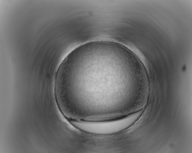 X0000094351390200711091442