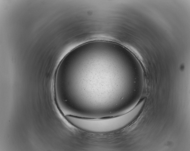 X0000094351391200711091442