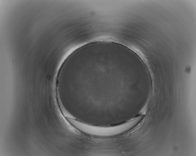 X0000094351392200711091442