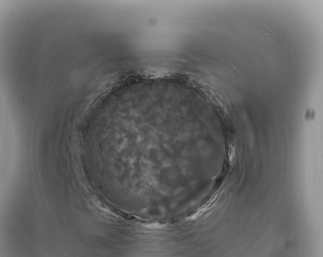 X0000094351393200711091441