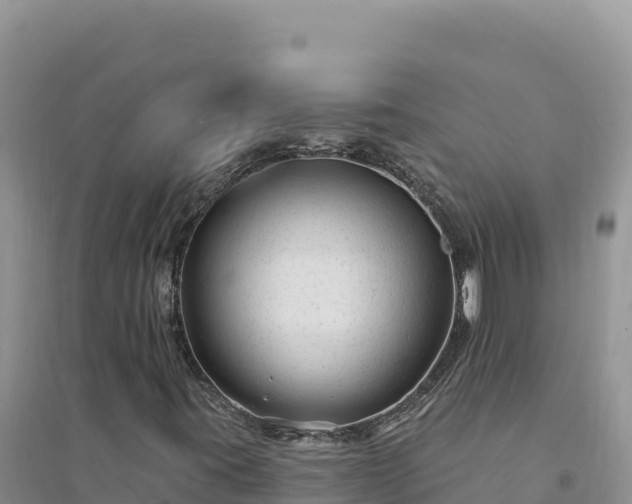 X0000094351395200711091441