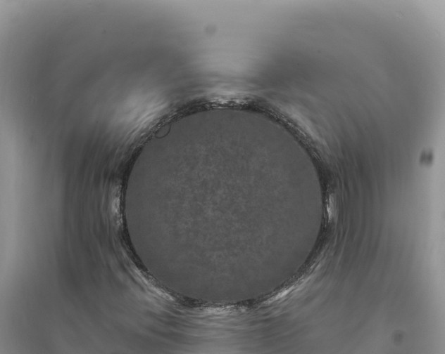 X0000094351396200711091441