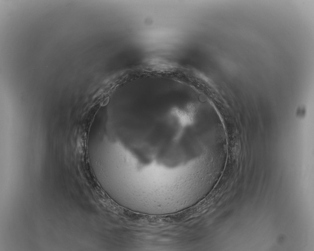 X0000094351397200711091441