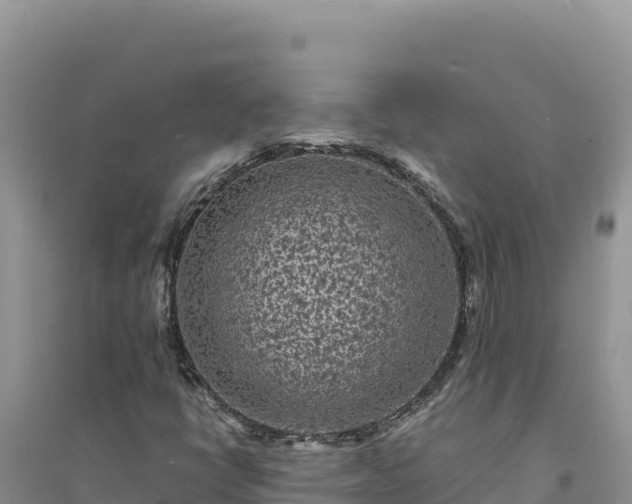 X0000094351398200711091441