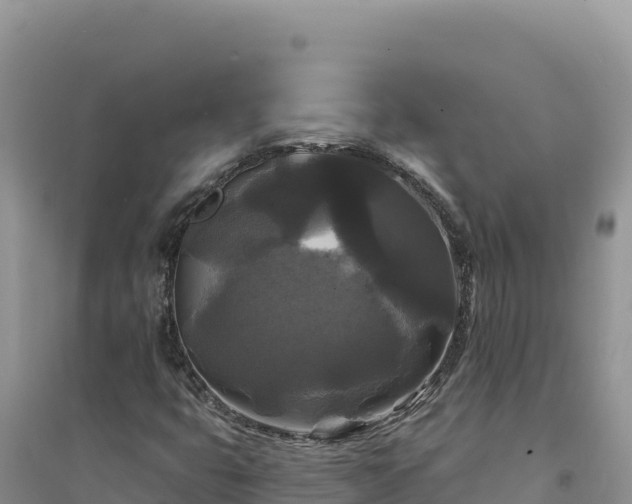 X0000094351399200711091441