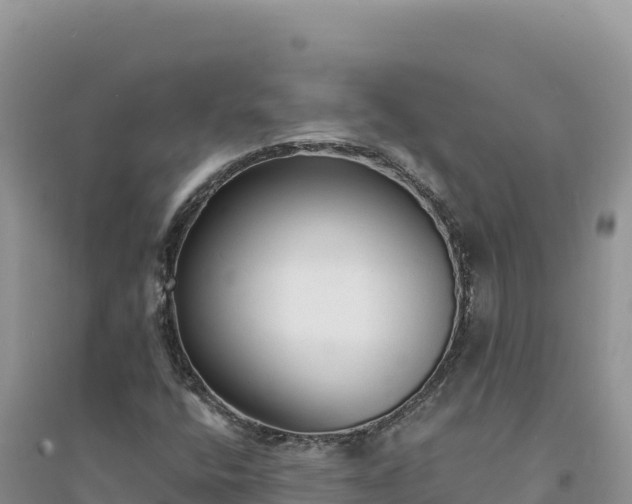 X0000094351400200711091441