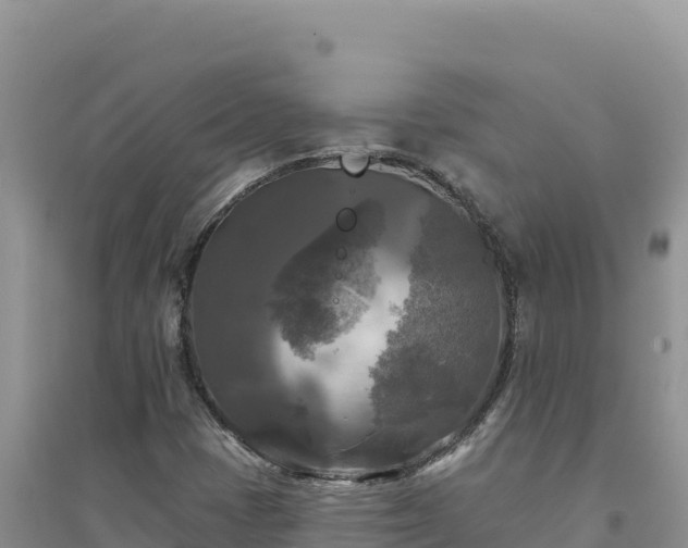 X0000094351401200711091441